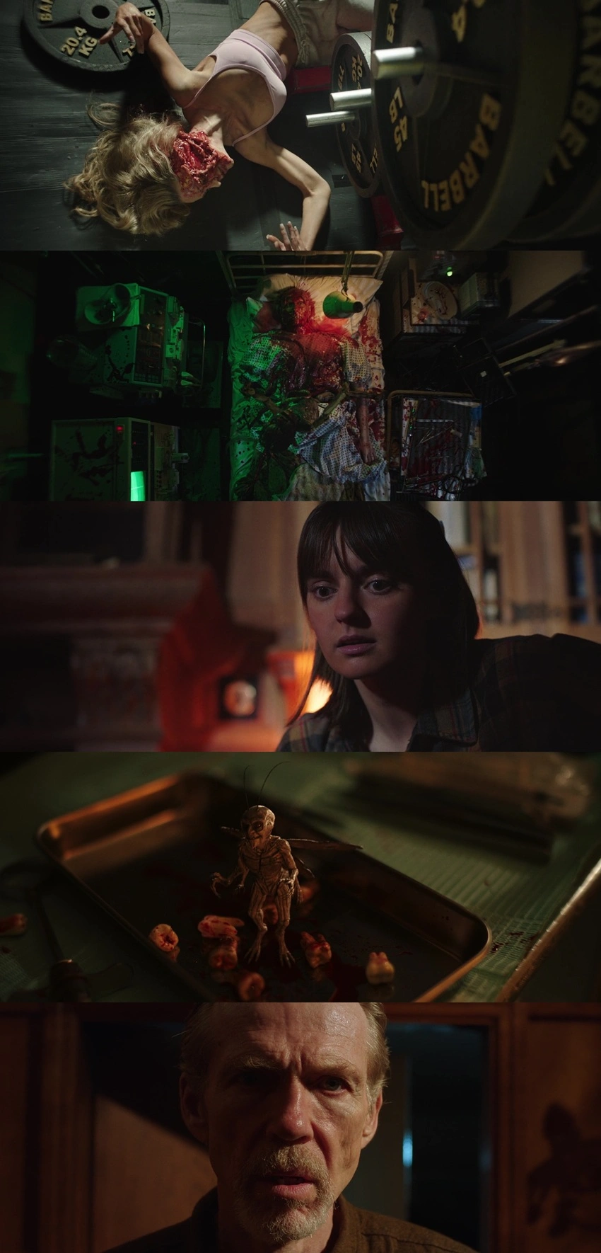 Download Pinocchio: Unstrung (2026) Hindi DD5.1 + English DD5.1 BluRay 480p 720p 1080p