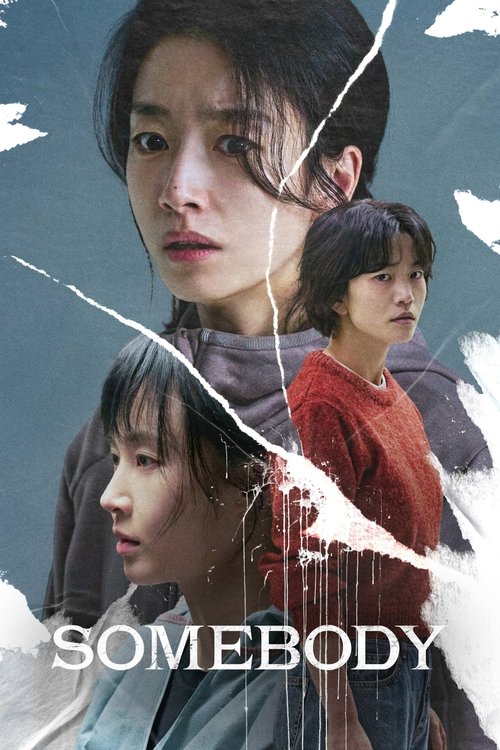 Download Somebody (2025) Hindi-Korean Amazon WEB-DL 480p 720p 1080p